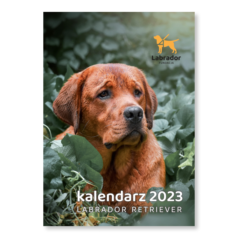 Kalendarze - cegiełki na 2023 rok już w sprzedaży!