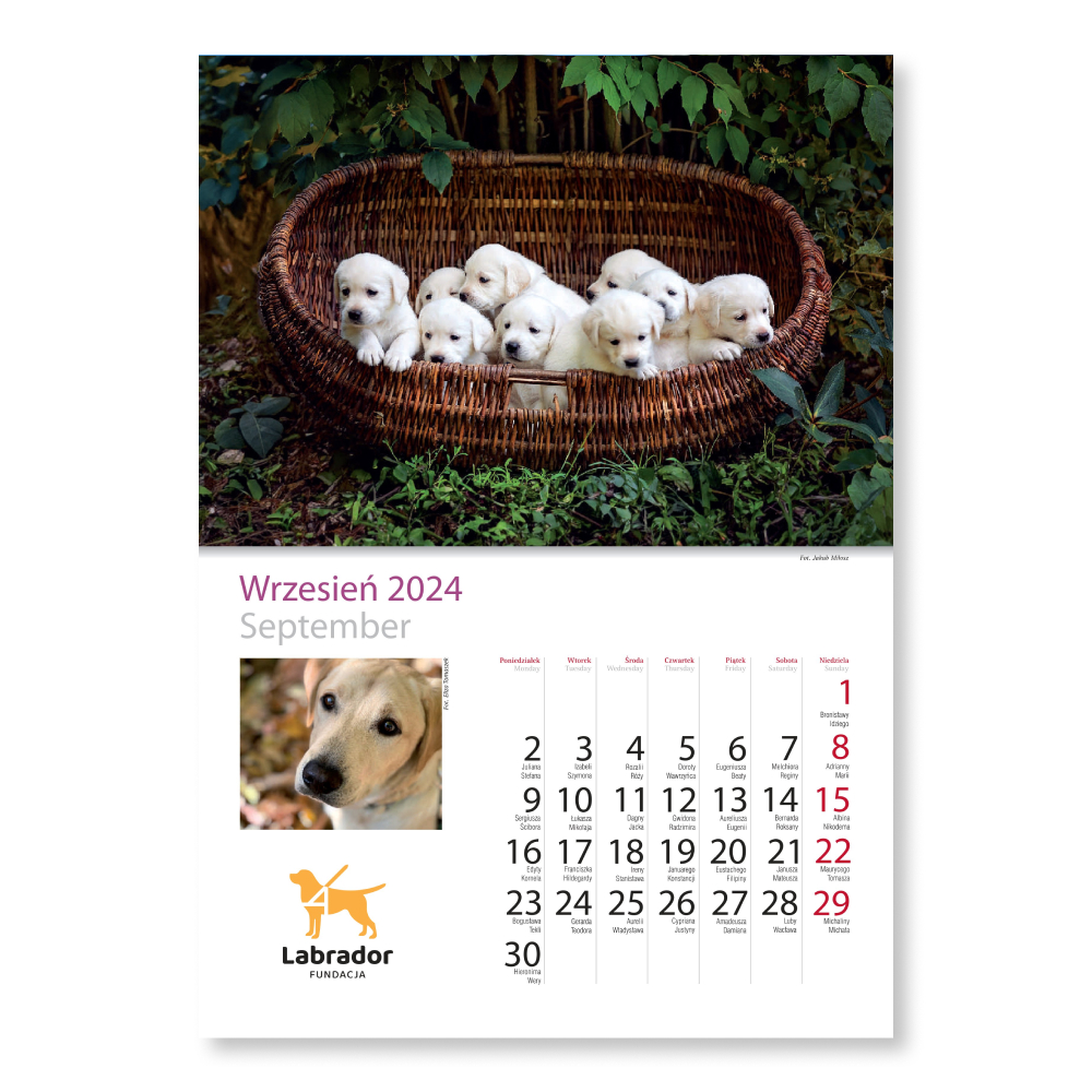 Kalendarz - miesiąc wrzesień