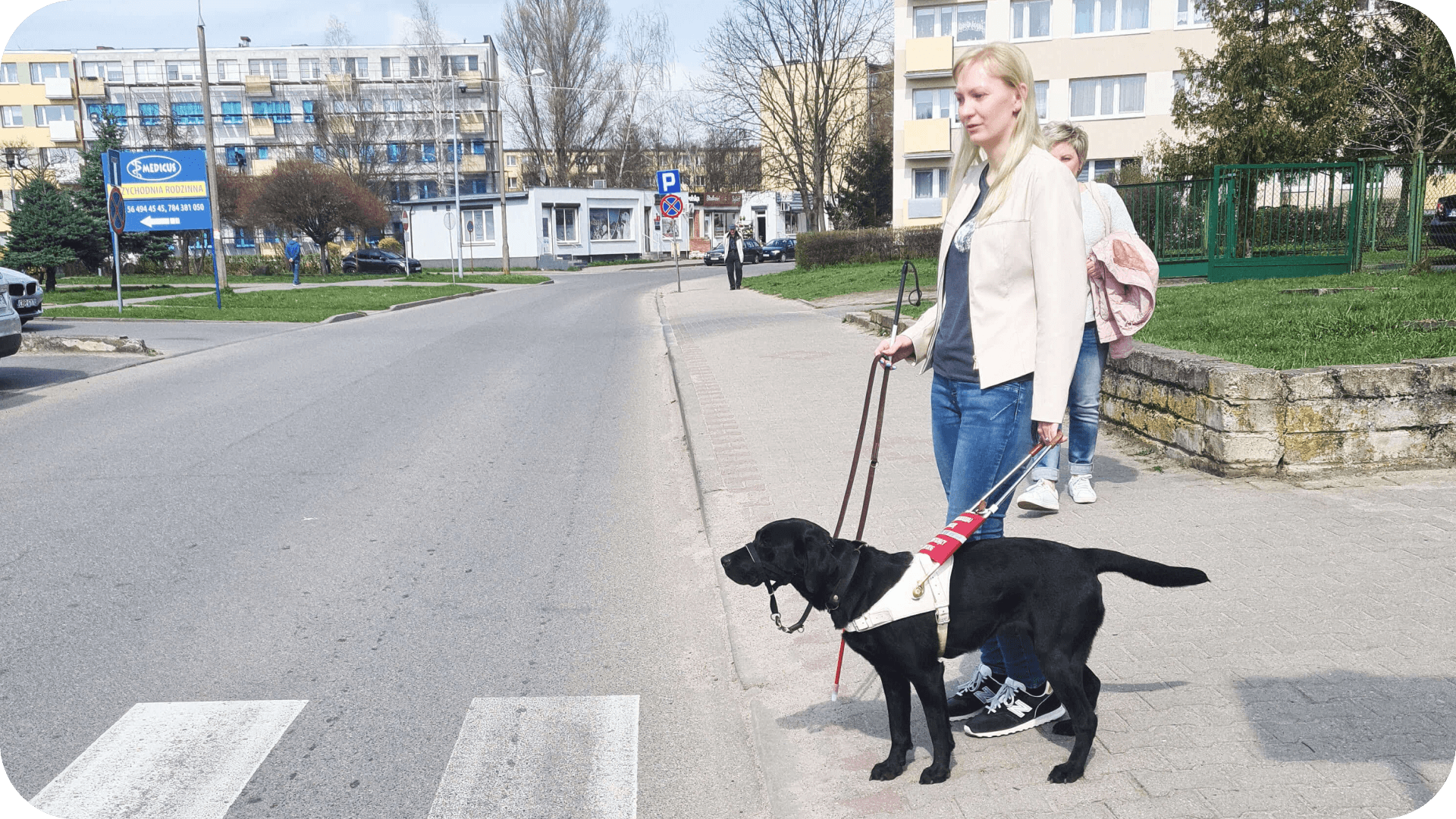 Ania opowiada o życiu z Ovi – psem przewodnikiem