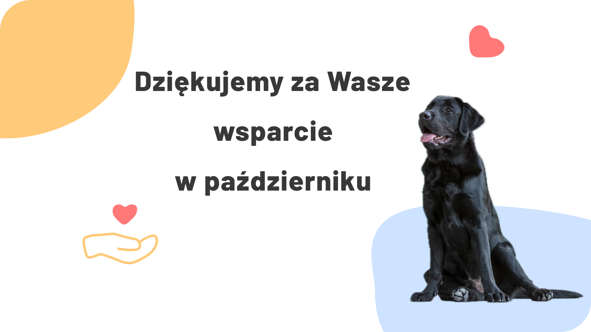 Uczestnictwo w życiu społecznym to prawo, a nie przywilej