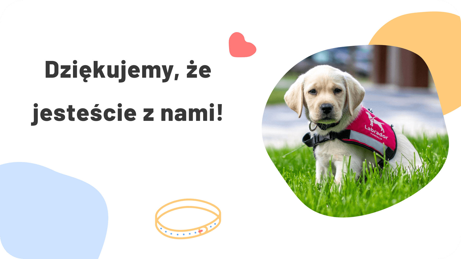 Wdzięczność za Wasze wsparcie!