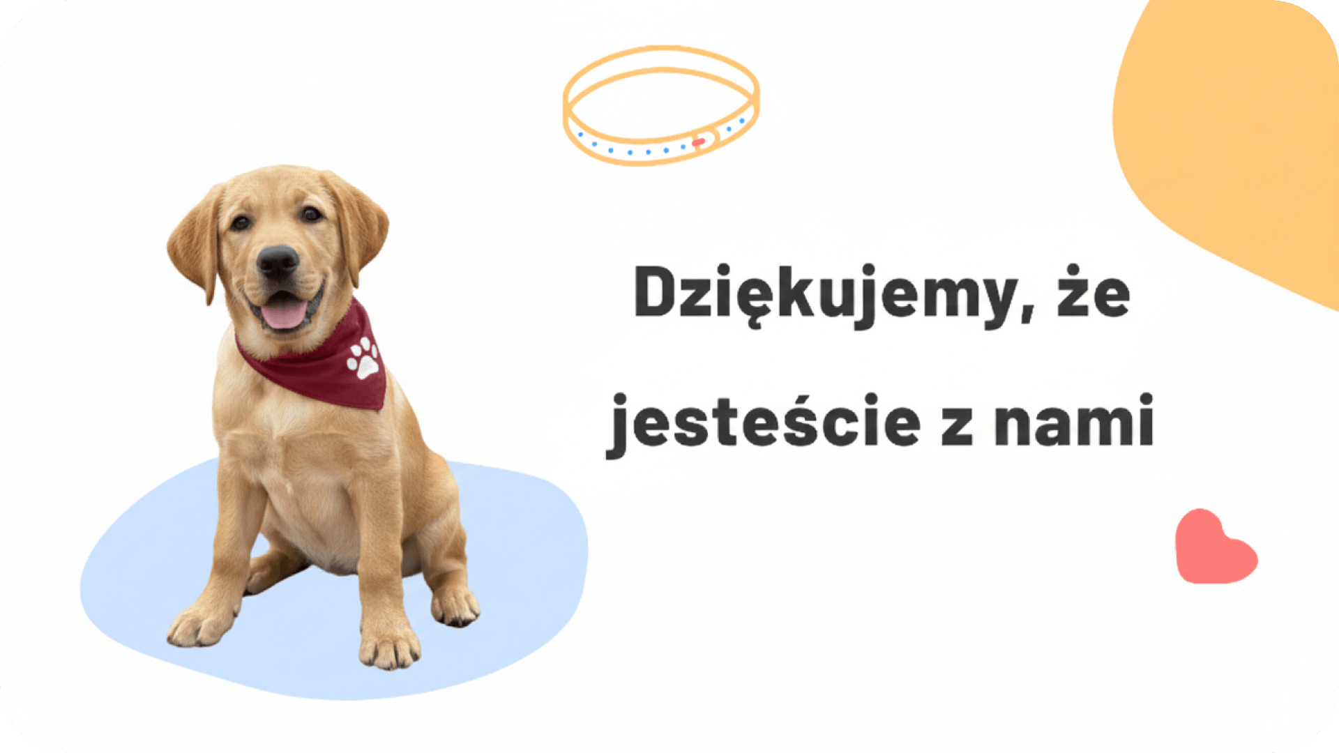 Podziękowania za wsparcie w listopadzie