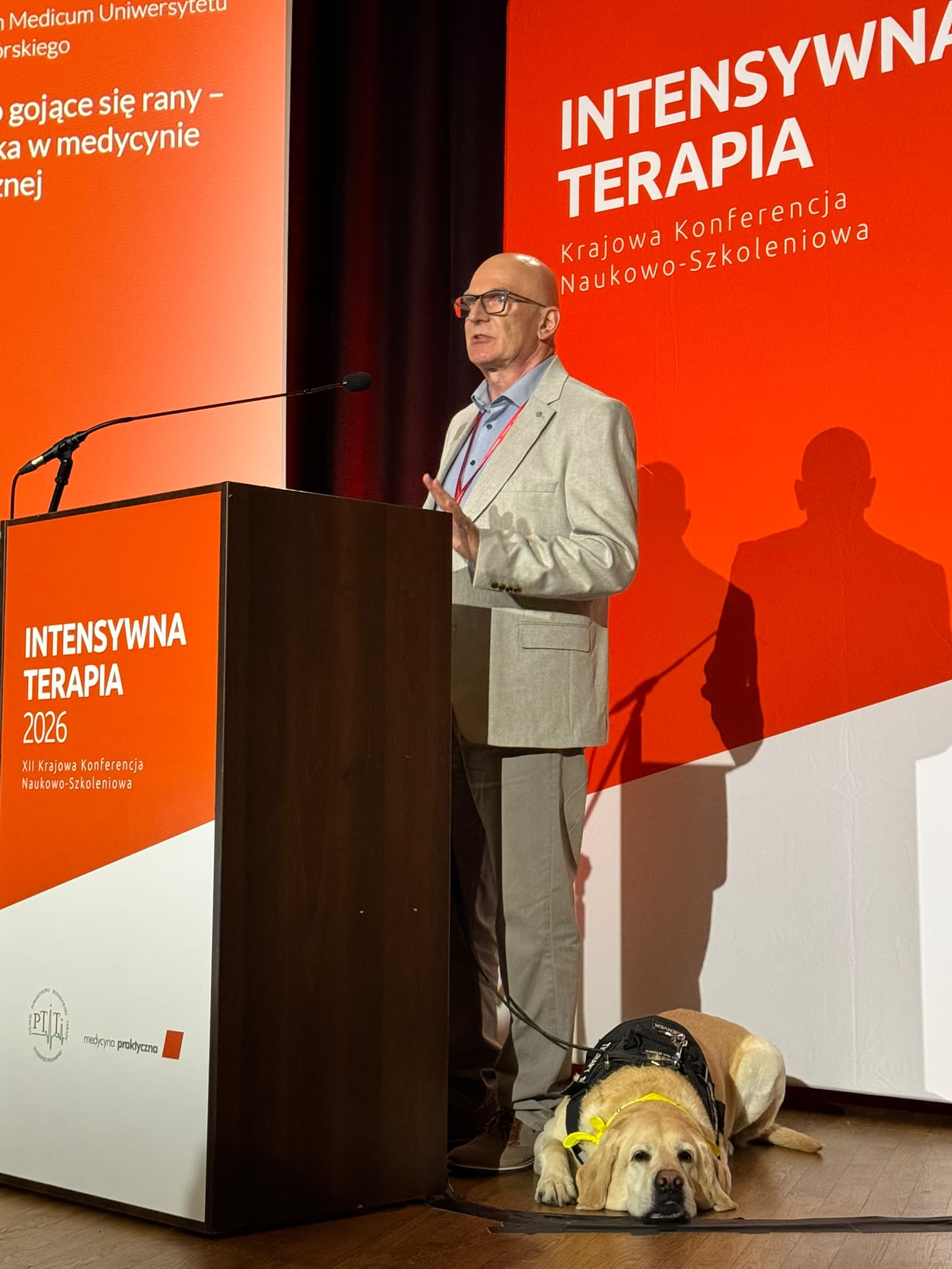 Mężczyzna w jasnym garniturze przemawia przy mównicy podczas XII Krajowej Konferencji Naukowo-Szkoleniowej „Intensywna Terapia 2026". U jego stóp leży spokojnie jasny labrador retriever w czarnej uprzęży z żółtą smyczą. W tle pomarańczowy baner konferencji z logo PTiT i „Medycyna Praktyczna". Na lewym ekranie widoczny fragment tytułu prelekcji dotyczącej ran w medycynie.