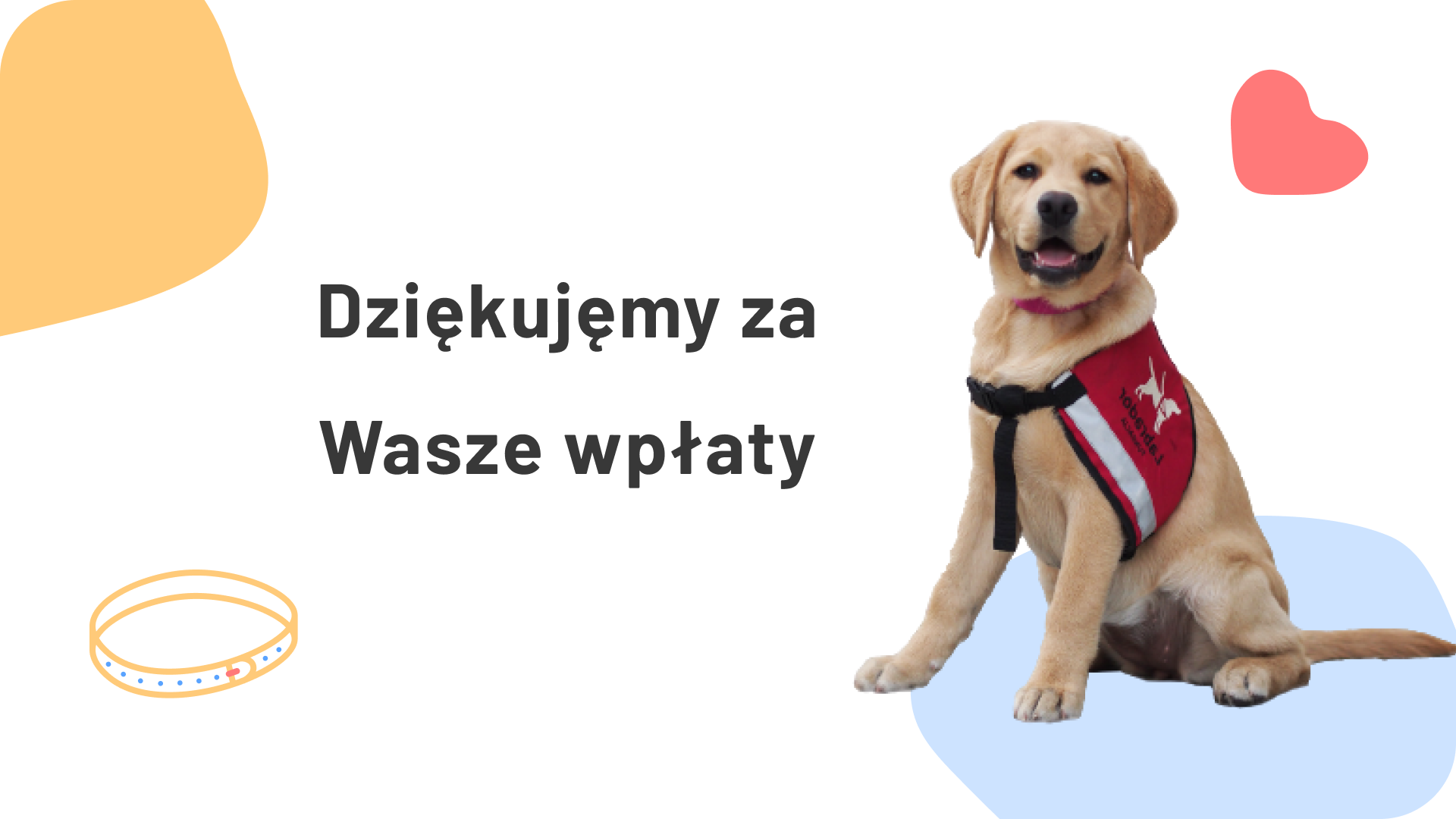 Dziękujemy za wrześniowe wsparcie Darczyńców