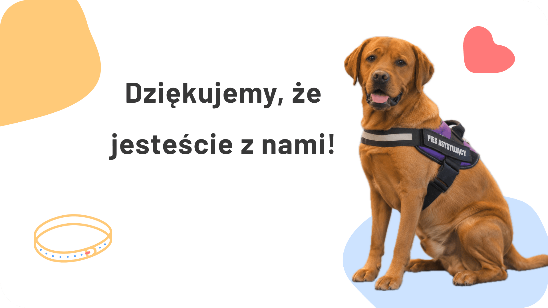 Dziękujemy za wsparcie naszej wspólnej misji