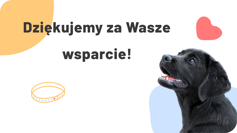 Twoja pomoc zmienia życie! Dziękujemy za wsparcie!