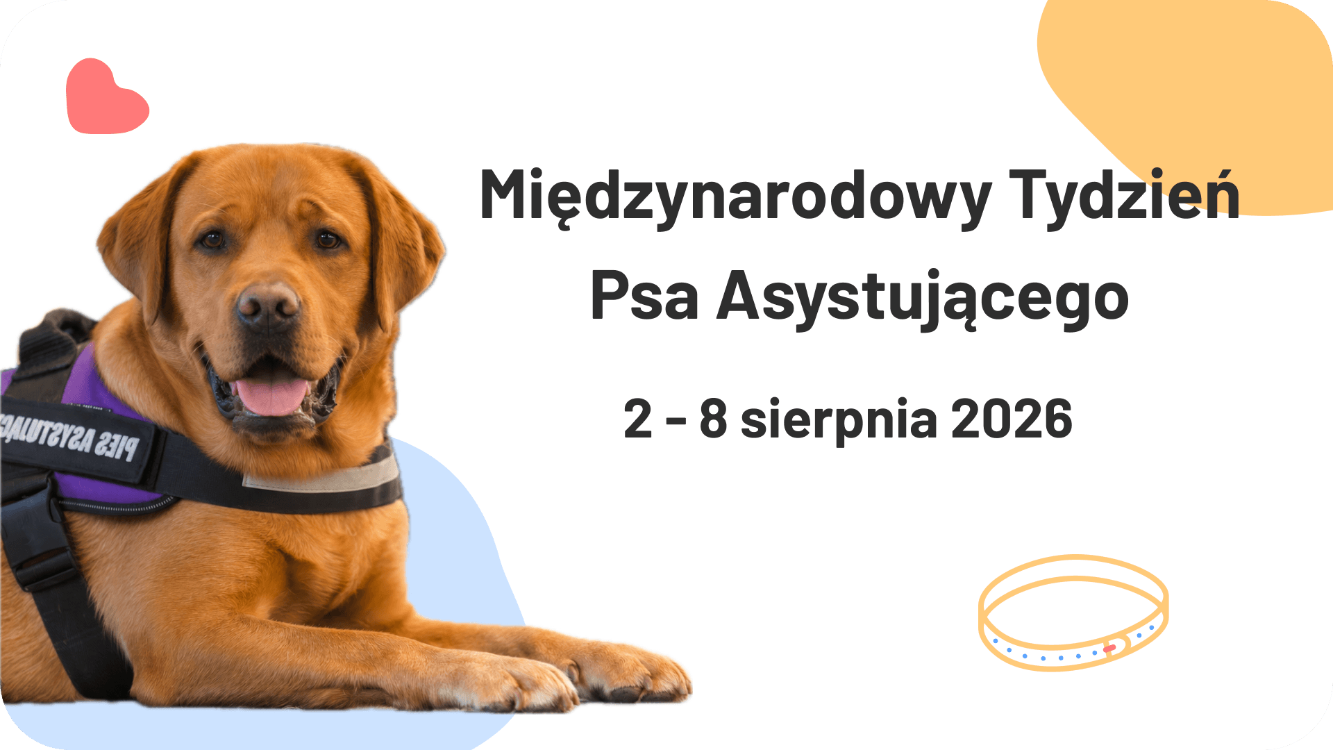 Międzynarodowy Tydzień Psa Asystującego 2026