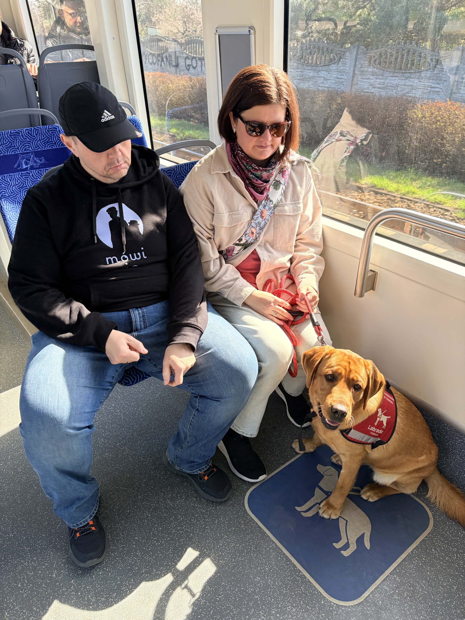 Para pasażerów siedzi w&nbsp;tramwaju, a&nbsp;młody brązowy pies w&nbsp;kamizelce Fundacji Labrador spokojnie siedzi na podłodze w&nbsp;wyznaczonym miejscu dla psa. Zdjęcie przedstawia trening zachowania w&nbsp;transporcie publicznym, podczas którego pies uczy się spokojnego podróżowania i&nbsp;pozostawania pod kontrolą wśród pasażerów.